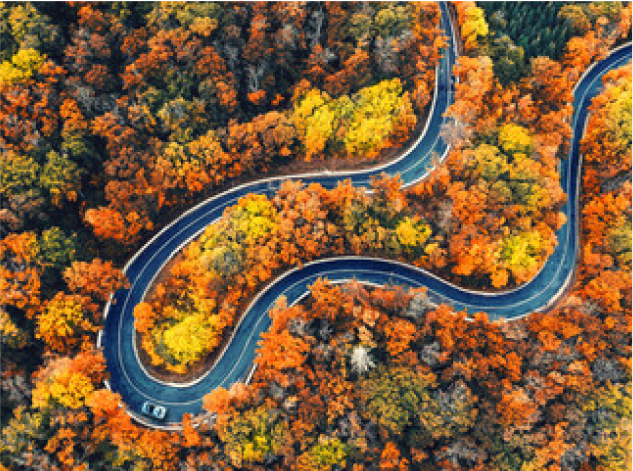 Vista dall'alto di strada sinuosa che si addentra nei boschi